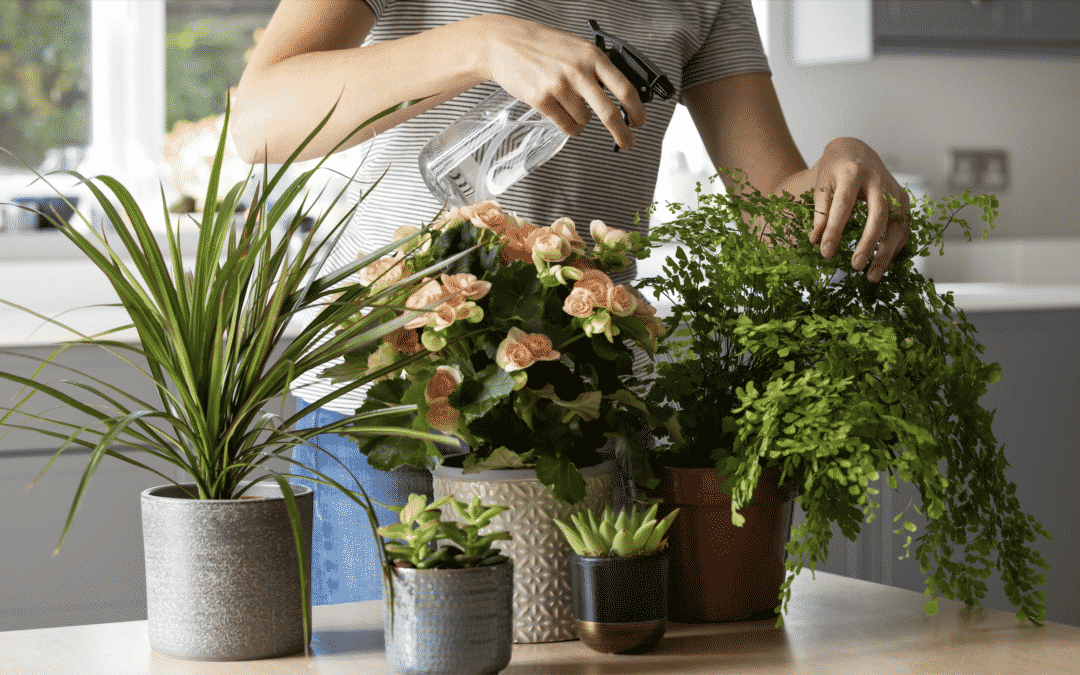 Caring for plants can reduce physiological and psychological stress
